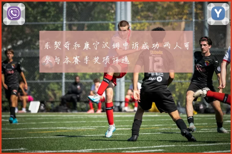 东契奇和康宁汉姆申诉成功 两人可参与本赛季奖项评选