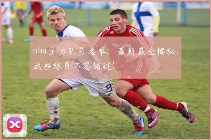 nba主力队员名单：最新最全揭秘，这些球员不容错过！