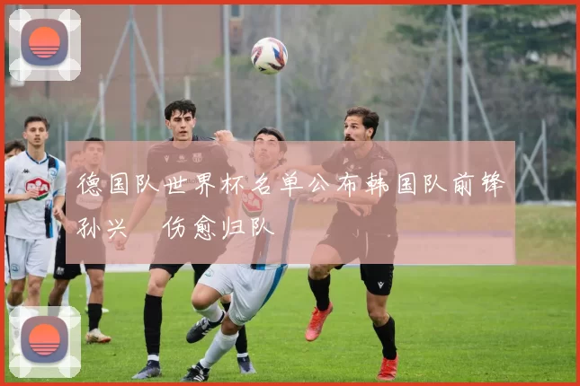 德国队世界杯名单公布韩国队前锋孙兴慜伤愈归队