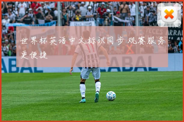 世界杯英语中文标识同步 观赛服务更便捷