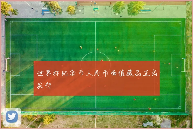 世界杯纪念币人民币面值藏品正式发行